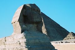 �q�Q�̖����X�t�B���N�X