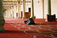 ��q���̌h�i�ȐM��