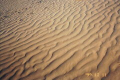 �[���ɏƂ炳�ꂽ����