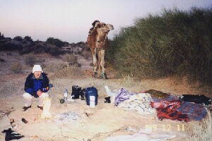 �T�n���̖閾��