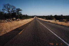 �ʂĂ��Ȃ���