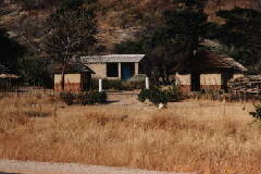 �߂��̖���