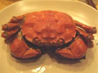 ���ŗg����ꂽ�I