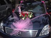 �������̎�