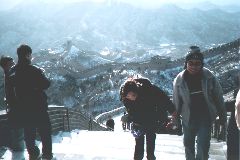 ���؂�ό��q