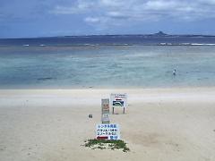 ���꓇�̐���r�[�`