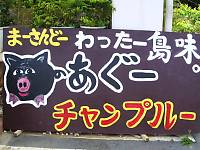 �Ӗ��s���̊Ŕ\�L