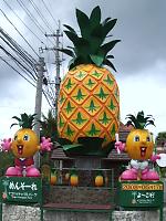 �p�C�i�b�v���p�[�N�̊Ŕ�