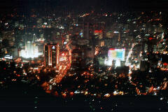 �\�E���̖�i