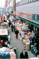 �����̌�