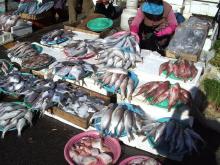 �O�ɂ͎R����̎s��