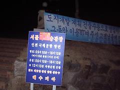 �������I���H�̗��ĎD