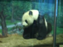 ��L�F����