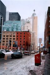 �^�~�̃g�����g�s�X