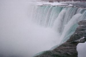 �^�~�̃i�C�A�K���t�H�[���Y