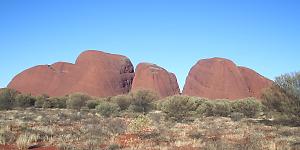 �J�^�E�W���^