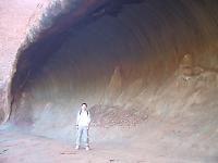 ���R�̃V�F���^�[