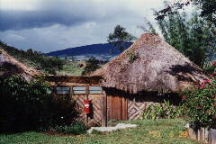 �n�C�����h���]