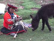 ���f�����v������I�o�����