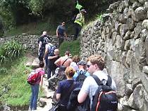 �c�A�[�q��s