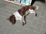 �y�Y���̌�