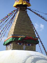 �{�_�i�[�g