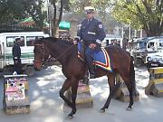 �R�n�x�@��