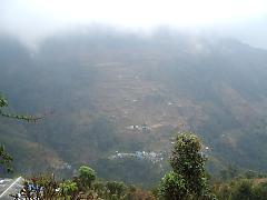 �I�c�̕��i