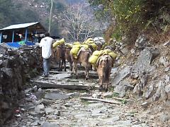 ��s�����o�R�c