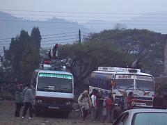 �|�J���̃o�X�^�[�~�i��