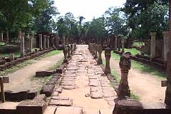 �o���e�A�C�E�X���C�̎Q��