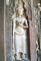 �g�}�m���̃f�o�_�[��