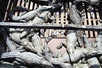 ���ꂽ���j