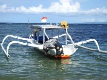 �`���[�^�[�����D