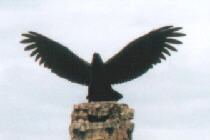 ��`������̃K���[�_