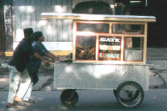 �T�e�B�[����