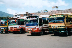 �o�X�^�[�~�i��