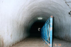 �h�󍈂̓����