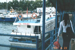 �t�F���[����