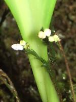 ���E�ň�ԏ����ȃ���