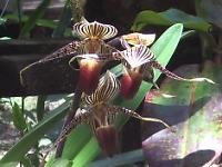 �Ƃ��Ă���������