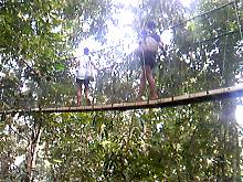 �݂苴�����