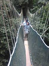 �݂苴�Ōł܂�