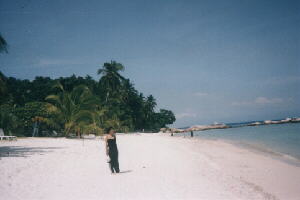 �����e�B���K���̃r�[�`