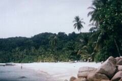 �r�[�`�Ɗ��