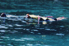 �V���m�[�P�����O