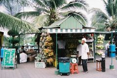 �h���C�u�C��