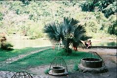 �C�|�[�̉���