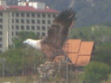 ���̏ے��ƂȂ��Ă���h