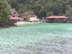 �p�����̕��i